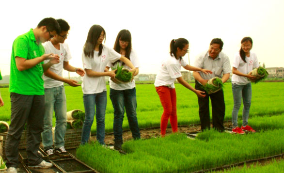 ��ꎎ����W(xu��)Ժ���Gɫ���ۡ����`�־Ը����ˮ�����g�M���w�ʽ������