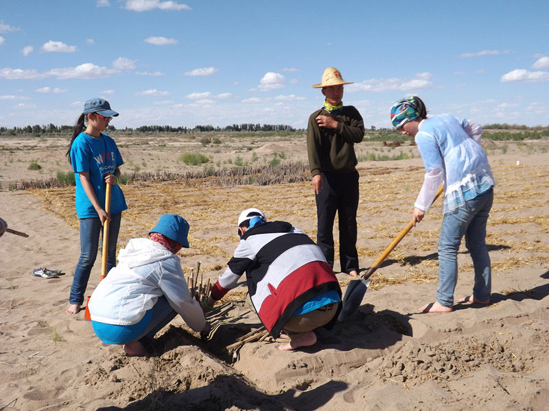 �@�N1.5��Ҋ�������ݸ��ӣ���ɳЧ����á����^4��5���͕��L(f��ng)�g��������Ҫ�����a(b��)����