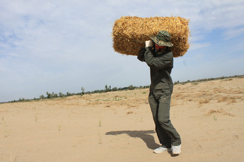 �F�T���i�������ݣ����ϳ����ģ����������؟�Ρ�