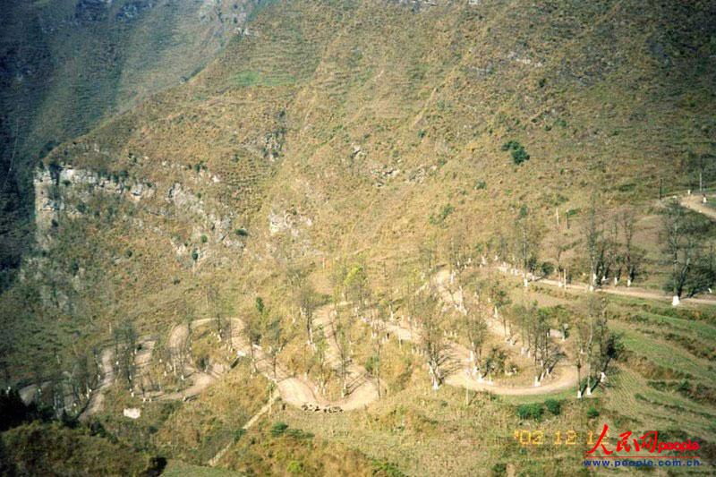 ��¡��24���ա�֮���ꐁ��֔zӰ�� 