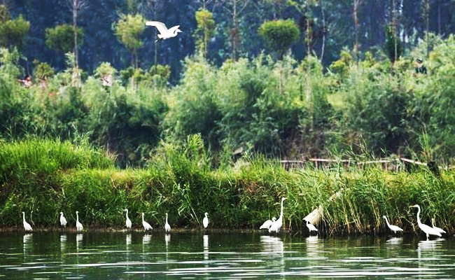 ͯԒ�ϼң���������Ԋ�����Ϙ���f����