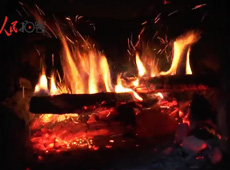 �t��t����~����������ʳ���ρ�