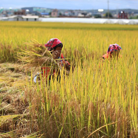 �h��t ���l��