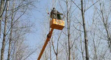 治理?xiàng)钚酰辛恕爸伪尽钡霓k法