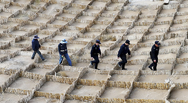 甘肅臨澤：壓沙織網(wǎng)正當(dāng)時(shí)