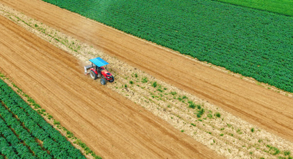 河南南陽：谷雨春耕圖